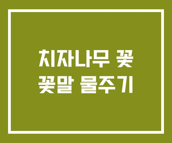 치자나무 꽃 꽃말 물주기