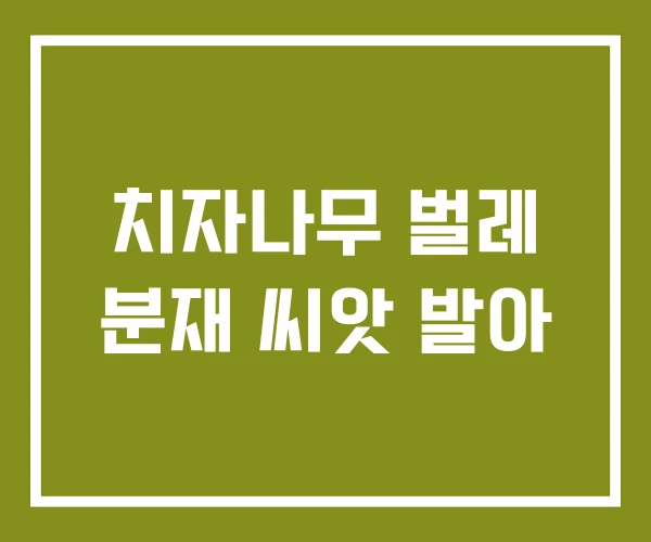 치자나무 벌레 분재 씨앗 발아