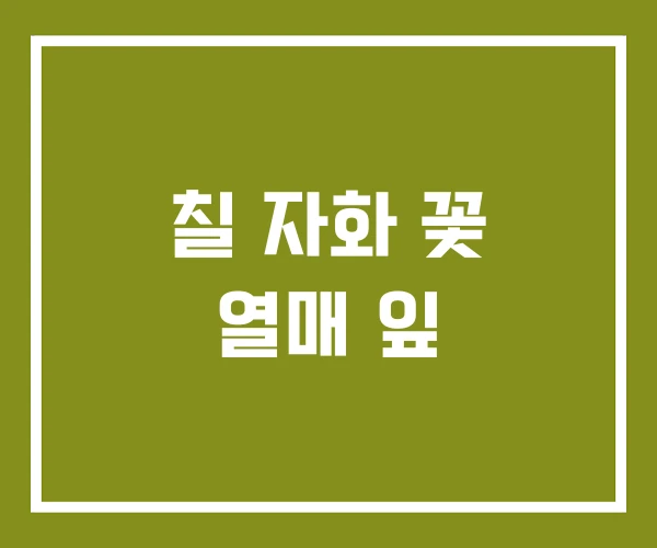 칠 자화 꽃 열매 잎