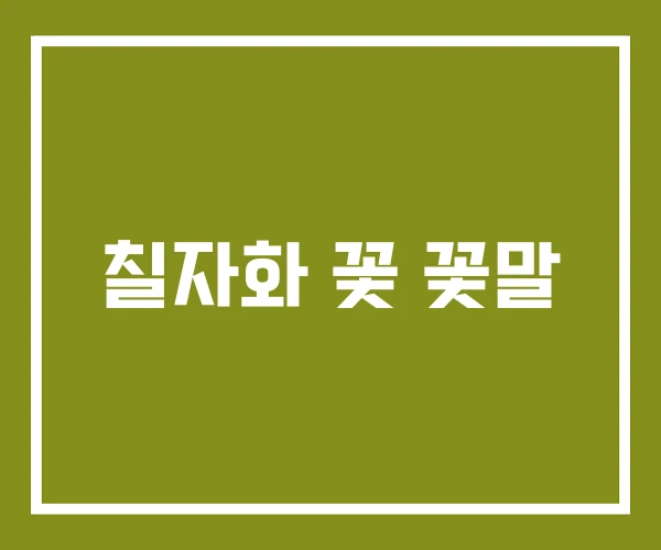칠자화 꽃 꽃말
