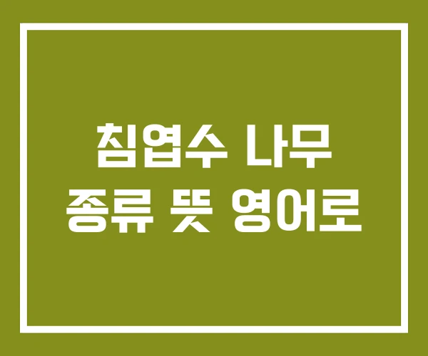 침엽수 나무 종류 뜻 영어로