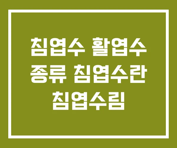 침엽수 활엽수 종류 침엽수란 침엽수림