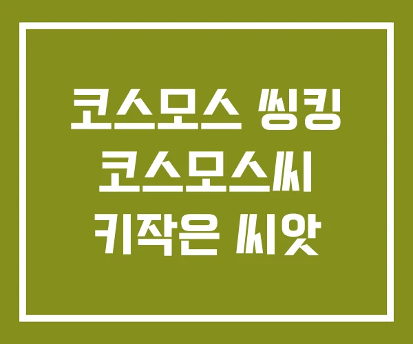 코스모스 씽킹 코스모스씨 키작은 씨앗