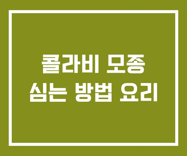 콜라비 모종 심는 방법 요리