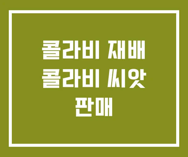 콜라비 재배 콜라비 씨앗 판매