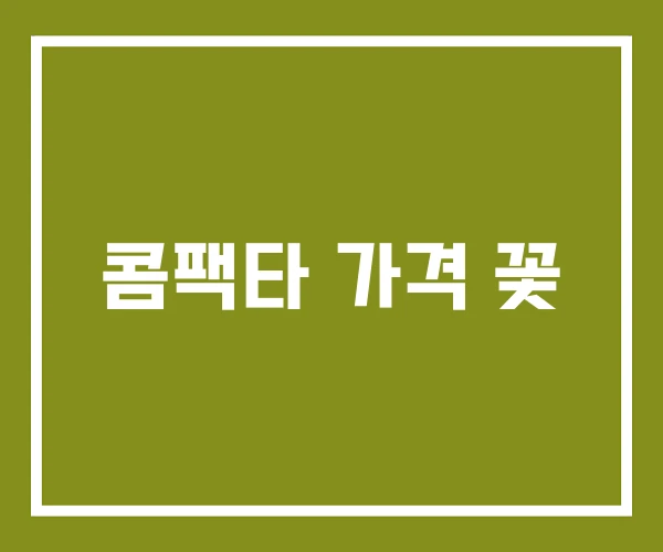 콤팩타 가격 꽃