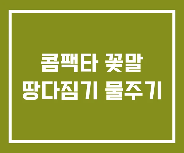 콤팩타 꽃말 땅다짐기 물주기