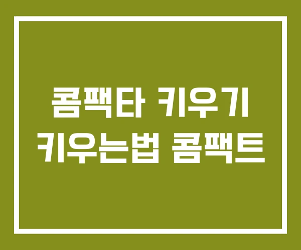 콤팩타 키우기 키우는법 콤팩트