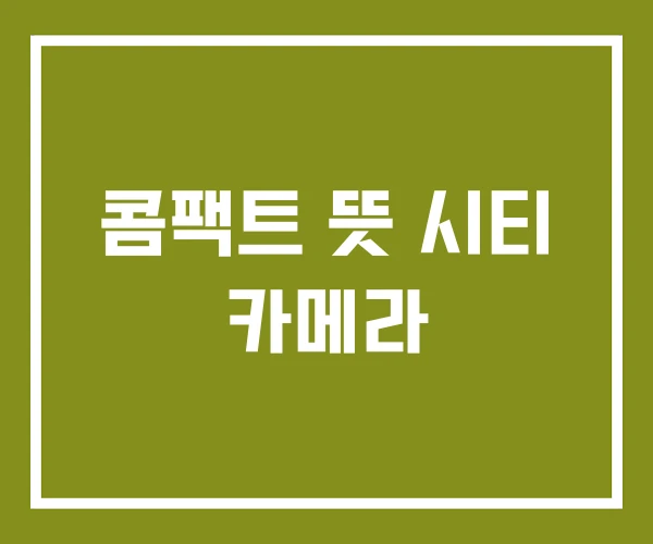 콤팩트 뜻 시티 카메라