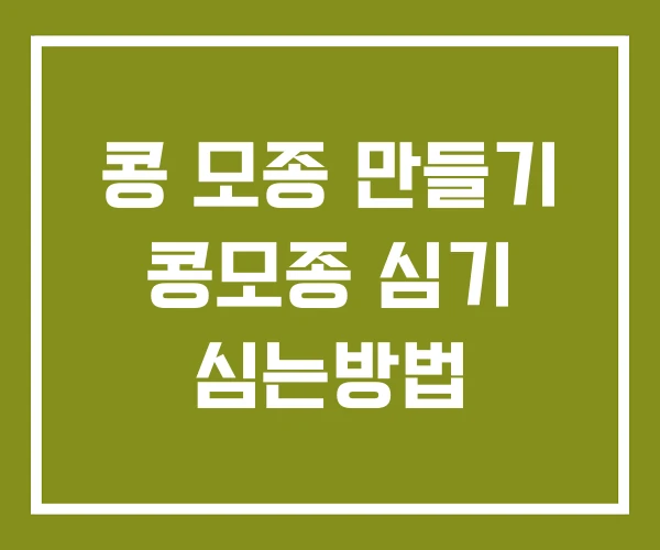 콩 모종 만들기 콩모종 심기 심는방법