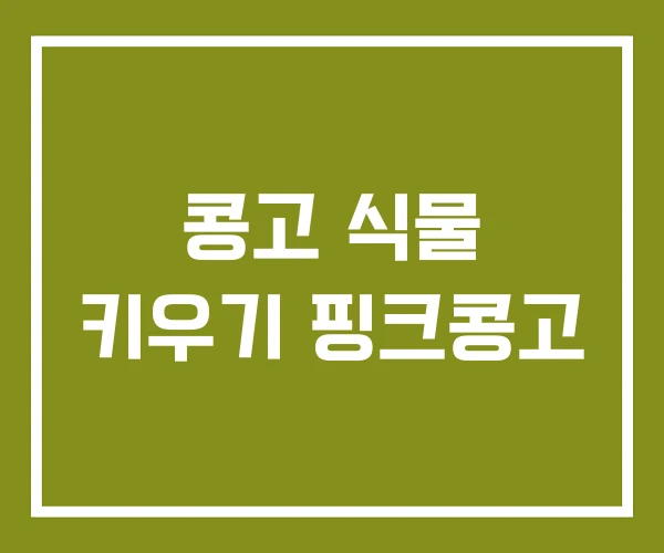 콩고 식물 키우기 핑크콩고