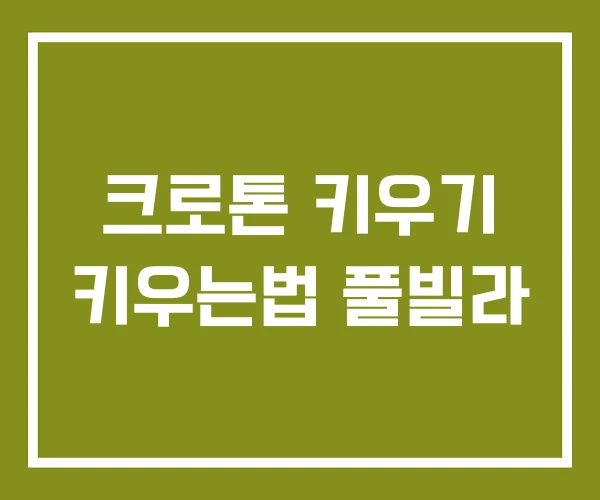 크로톤 키우기 키우는법 풀빌라