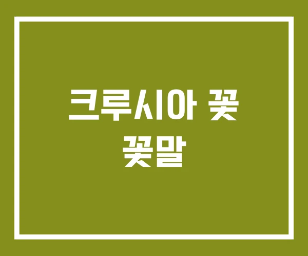 크루시아 꽃 꽃말