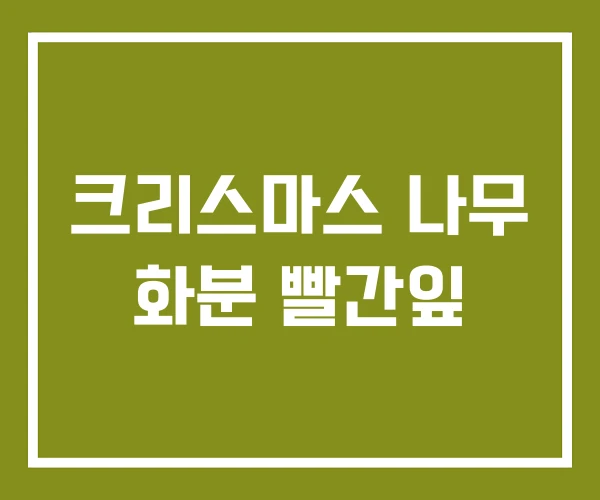 크리스마스 나무 화분 빨간잎