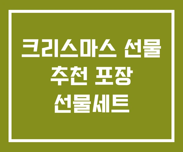 크리스마스 선물 추천 포장 선물세트