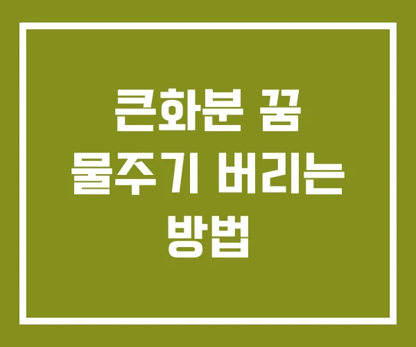 큰화분 꿈 물주기 버리는 방법