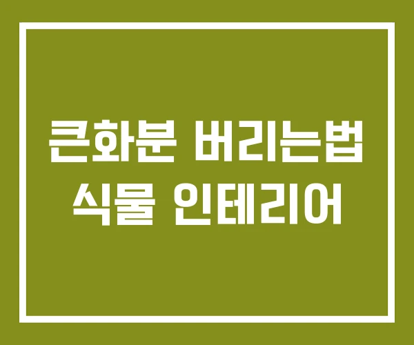 큰화분 버리는법 식물 인테리어