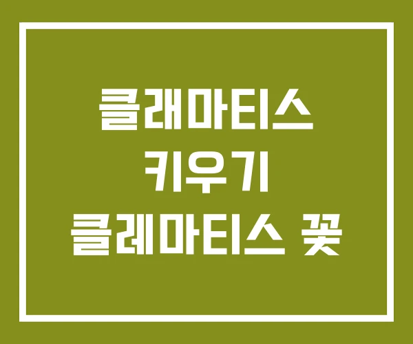 클래마티스 키우기 클레마티스 꽃