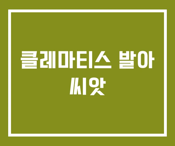 클레마티스 발아 씨앗