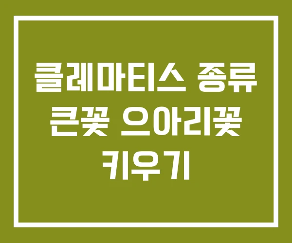 클레마티스 종류 큰꽃 으아리꽃 키우기