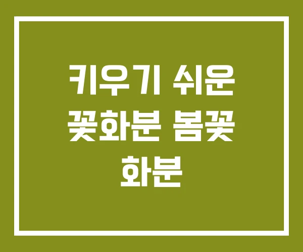 키우기 쉬운 꽃화분 봄꽃 화분