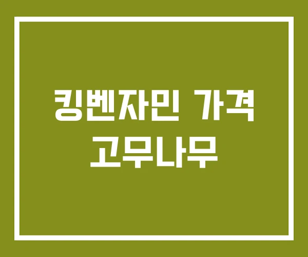 킹벤자민 가격 고무나무