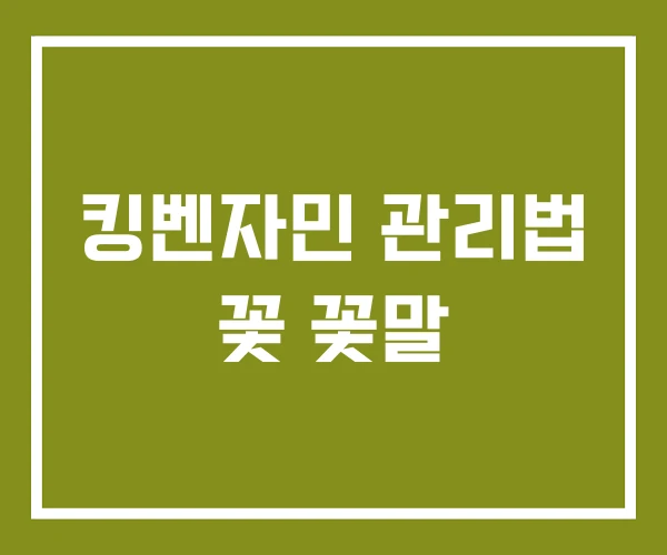 킹벤자민 관리법 꽃 꽃말