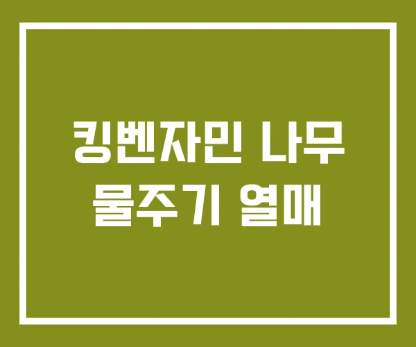 킹벤자민 나무 물주기 열매