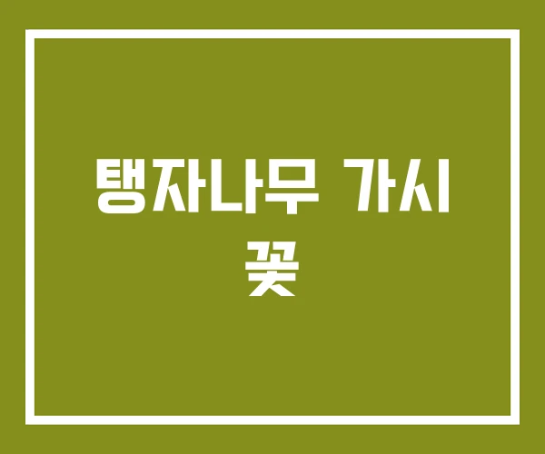 탱자나무 가시 꽃