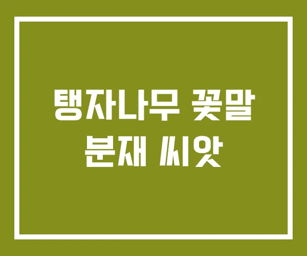 탱자나무 꽃말 분재 씨앗