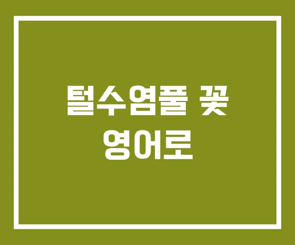 털수염풀 꽃 영어로