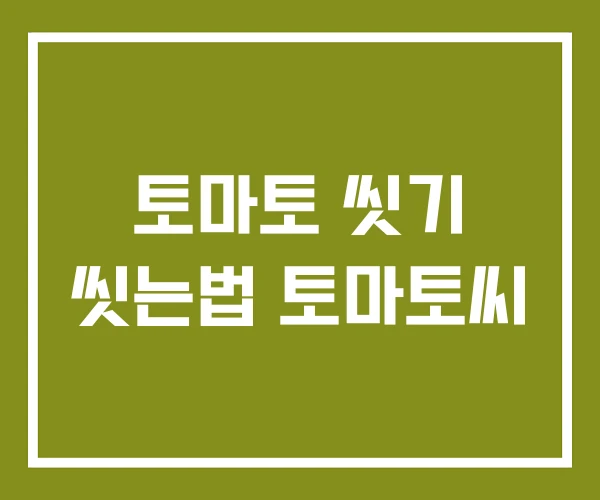 토마토 씻기 씻는법 토마토씨