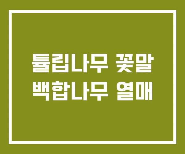 튤립나무 꽃말 백합나무 열매