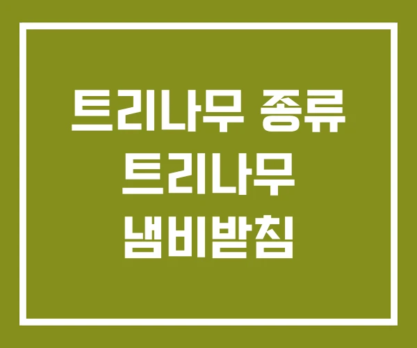 트리나무 종류 트리나무 냄비받침