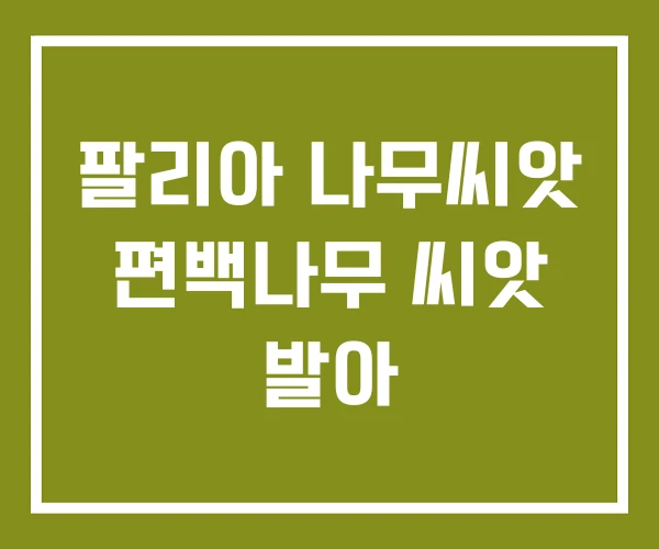 팔리아 나무씨앗 편백나무 씨앗 발아