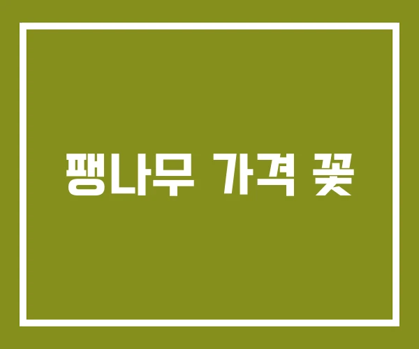 팽나무 가격 꽃
