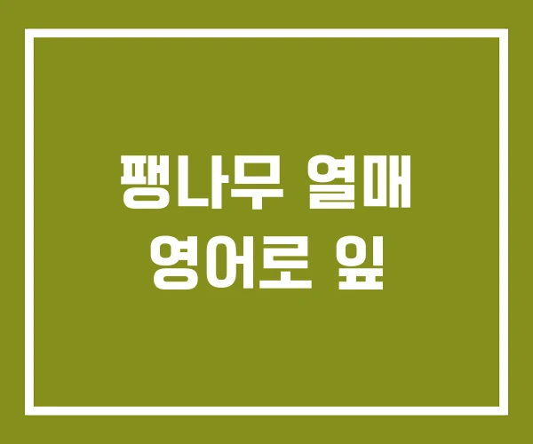 팽나무 열매 영어로 잎