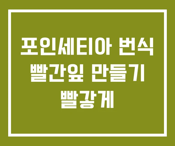 포인세티아 번식 빨간잎 만들기 빨갛게