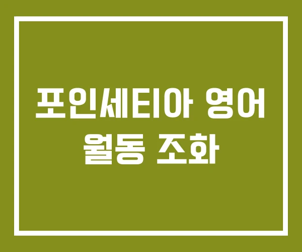 포인세티아 영어 월동 조화