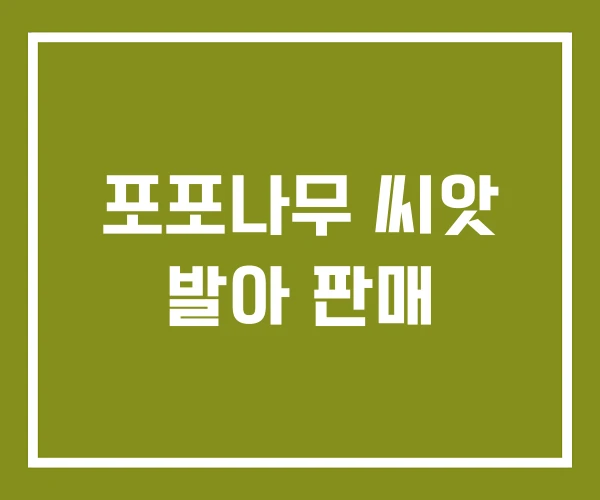 포포나무 씨앗 발아 판매