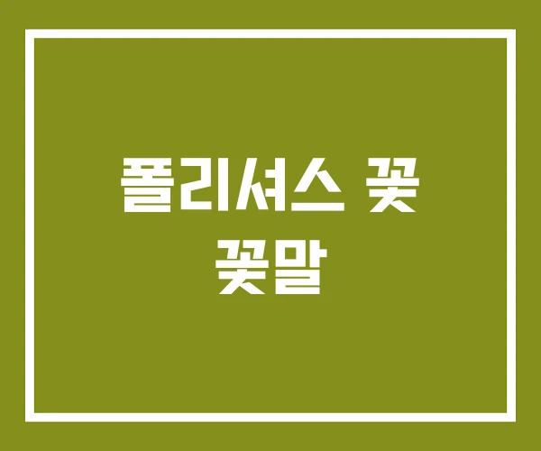 폴리셔스 꽃 꽃말
