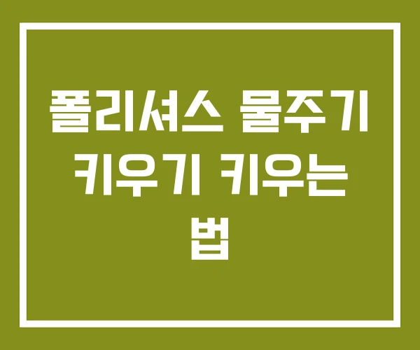 폴리셔스 물주기 키우기 키우는 법
