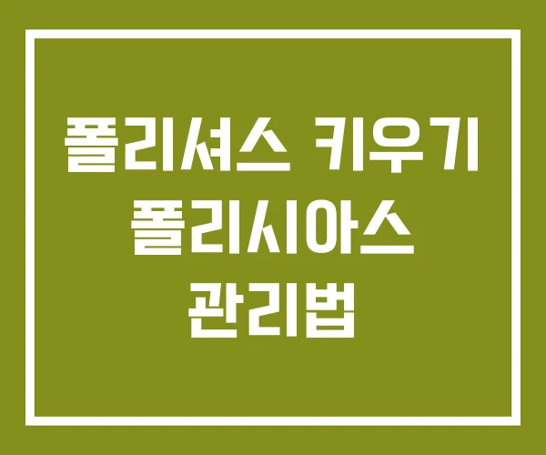 폴리셔스 키우기 폴리시아스 관리법