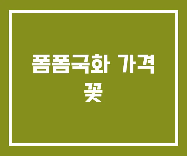 폼폼국화 가격 꽃