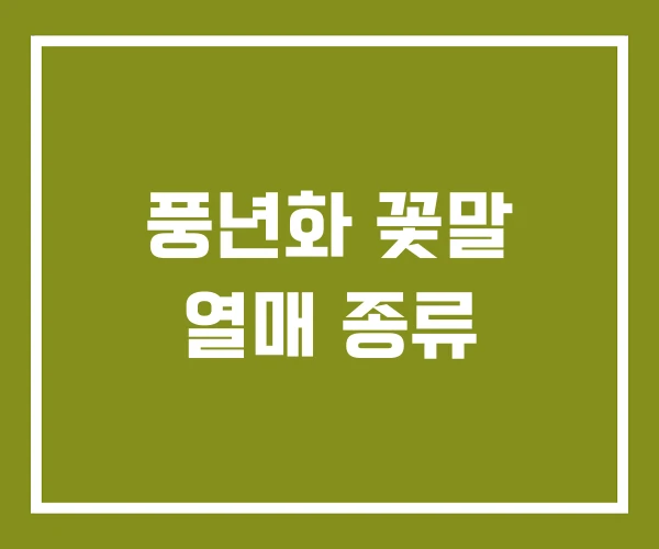 풍년화 꽃말 열매 종류