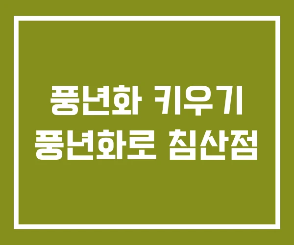 풍년화 키우기 풍년화로 침산점