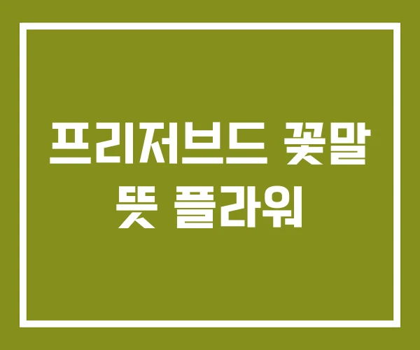 프리저브드 꽃말 뜻 플라워