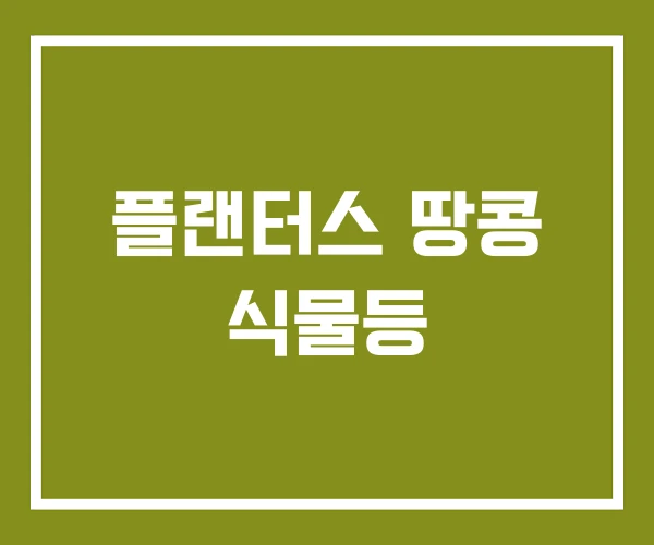 플랜터스 땅콩 식물등