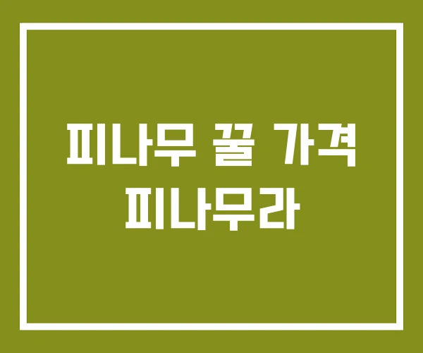 피나무 꿀 가격 피나무라