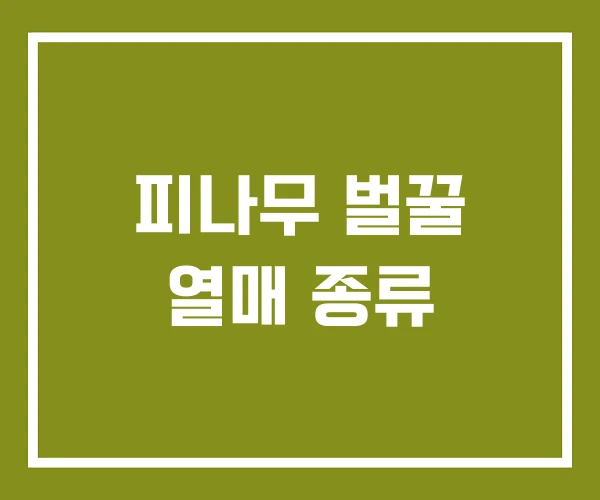 피나무 벌꿀 열매 종류